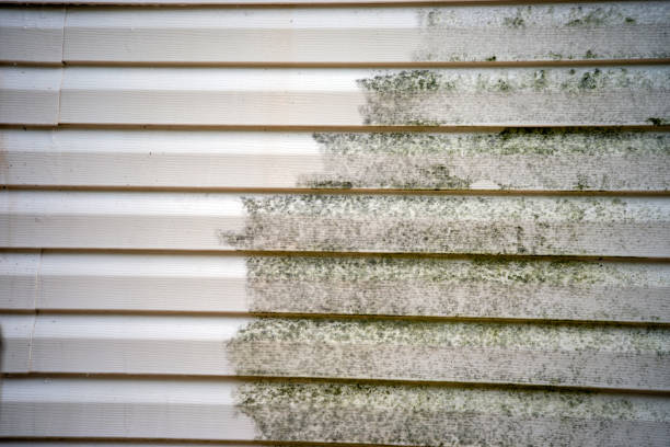 Best Stone Veneer Siding  in Terville, WA