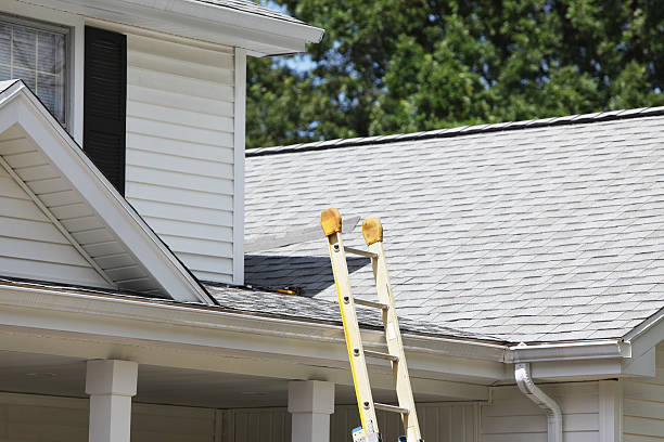 Best Storm Damage Siding Repair  in Terville, WA